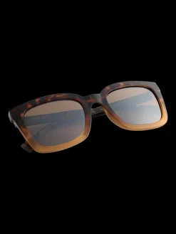 New Brunotti Berria Unisex Zonnebril | Bruin