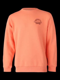 Fashion Brunotti Naval Heren Sweater | Melon
